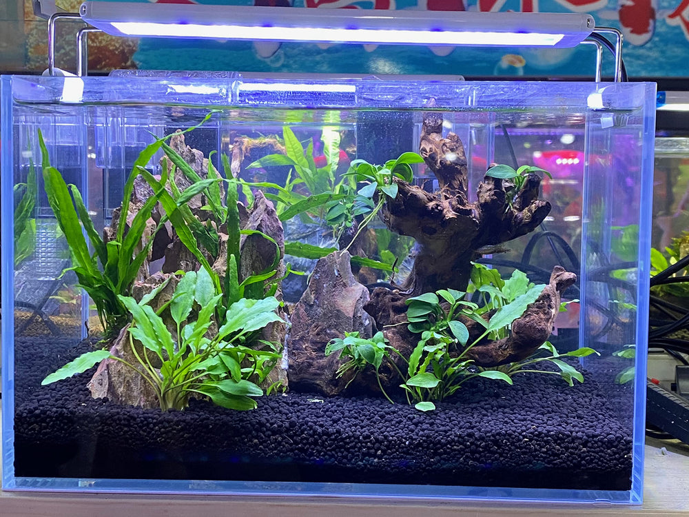 Landen Aqua Soil bacteria-friendly habitat support for plant roots and shrimp.