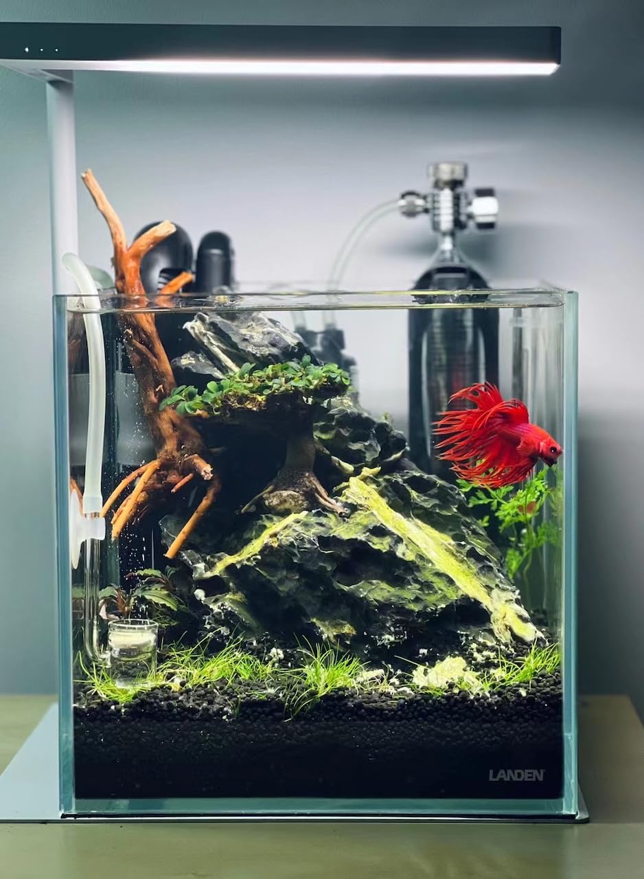 LANDEN Aqua Soil Substrate black color complements tanks and natural decor.