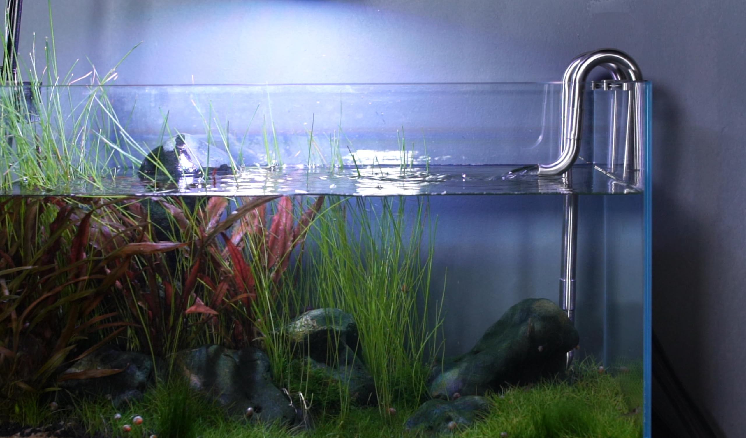 LANDEN aquarium setup view showing minimalist, premium hardware