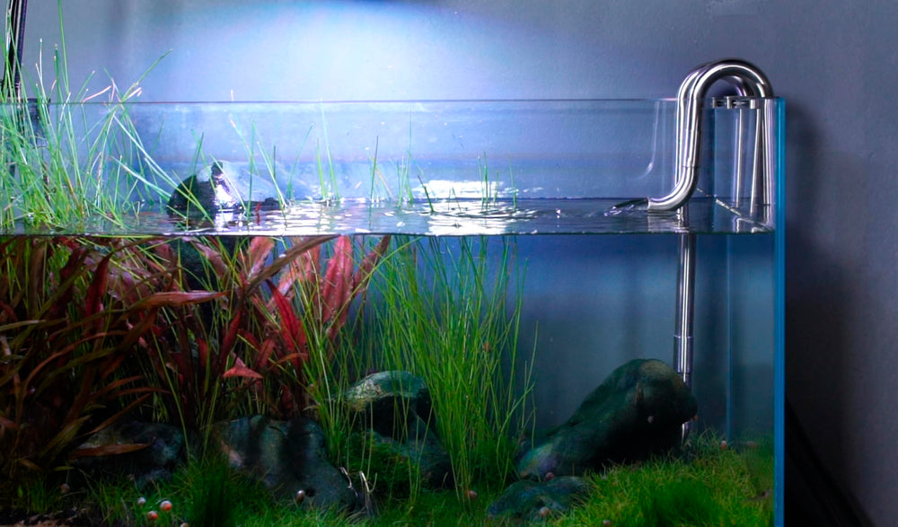 LANDEN aquarium setup view showing minimalist, premium hardware