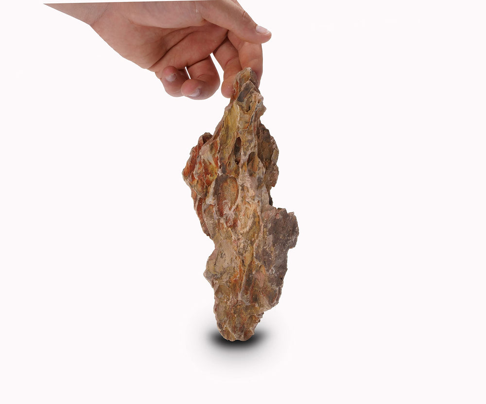 LANDEN dragon stones create caves and cliffs for reptiles and shrimp.