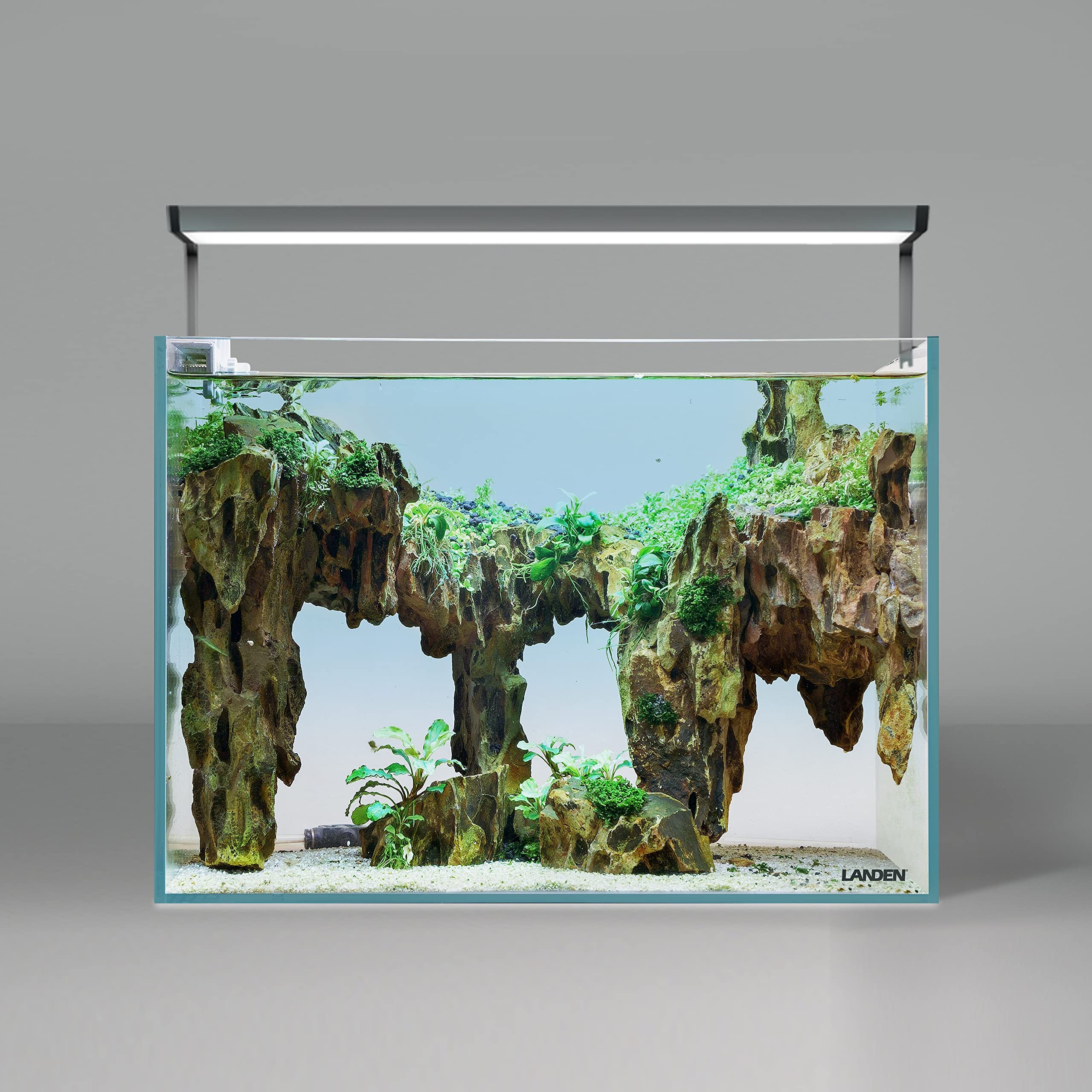 LANDEN dragon stones ready-to-use for quick terrarium setup.