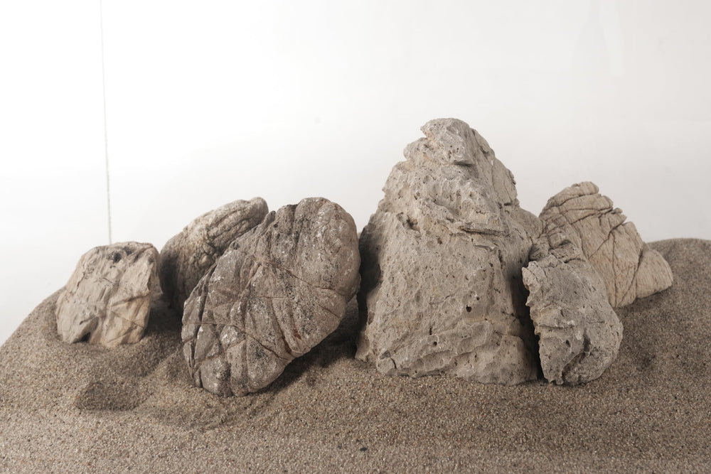 LANDEN Elephant Skin Stone collection-shot highlights seven-piece set versatility
