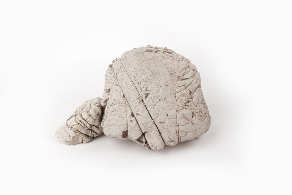 LANDEN Elephant Skin Stone mountain bonsai setup emphasizes rugged texture and natural drama