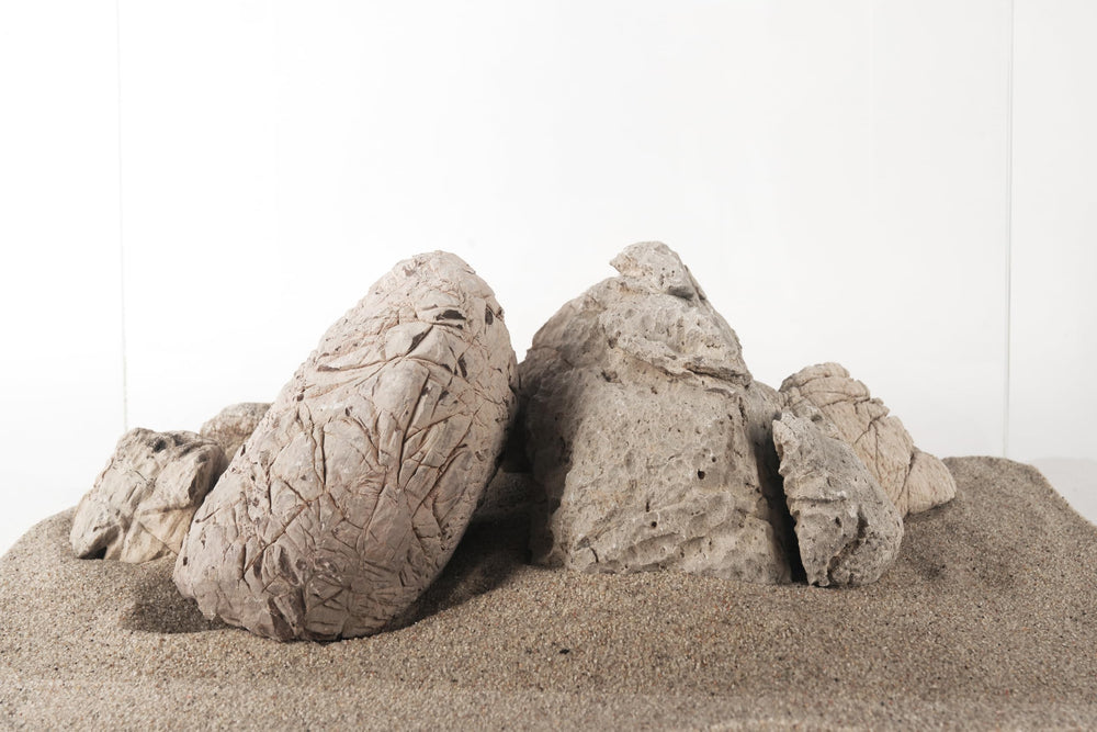 LANDEN Elephant Skin Stone terrarium-detail shows two textures for plant growth