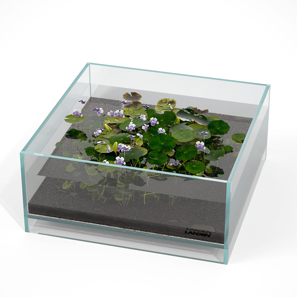 LANDEN Glass Air Tank hollow bottom view shows suspended scenery.