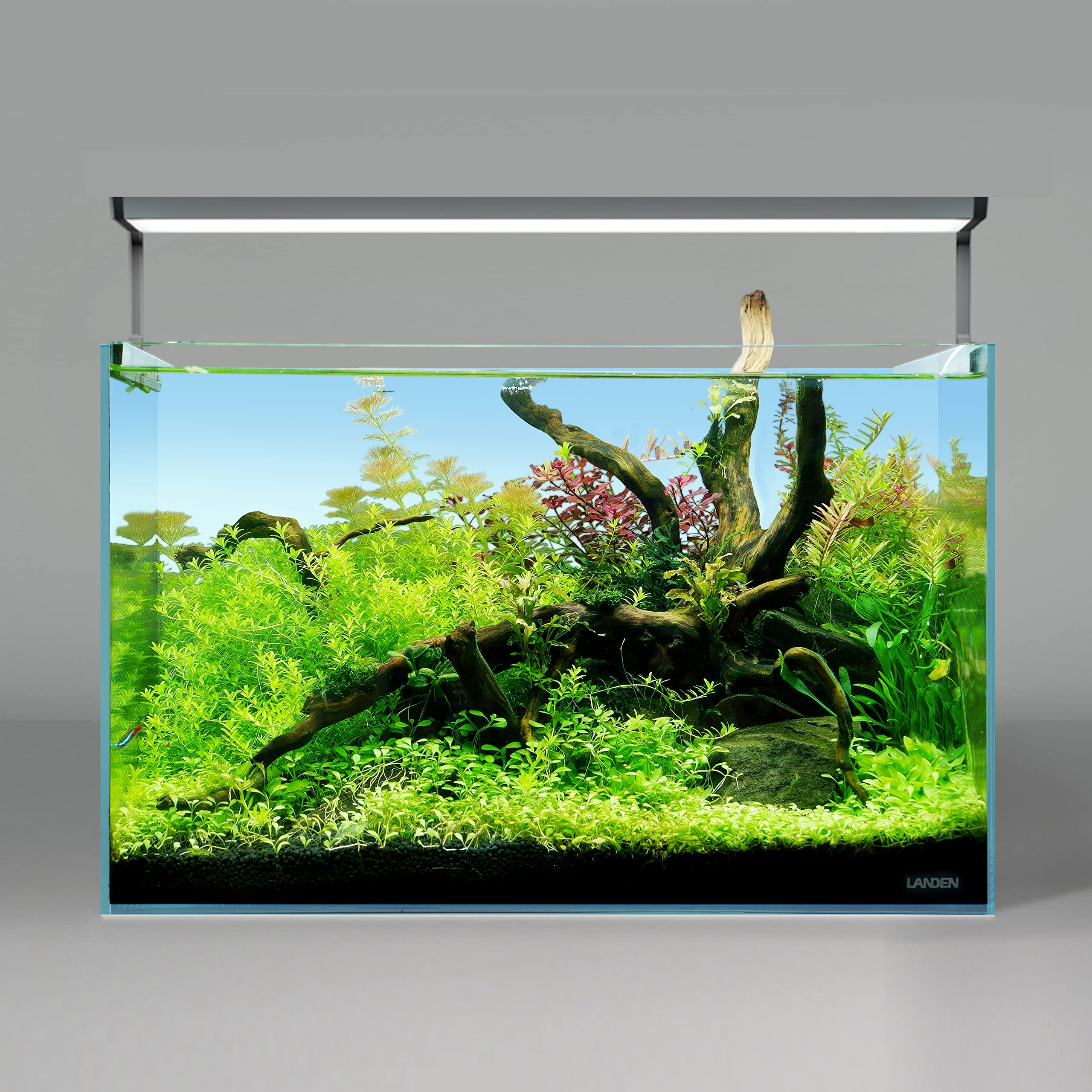 LANDEN Kueiyang Hornwood natural shape enhances moss habitats and plant anchoring in aquascapes