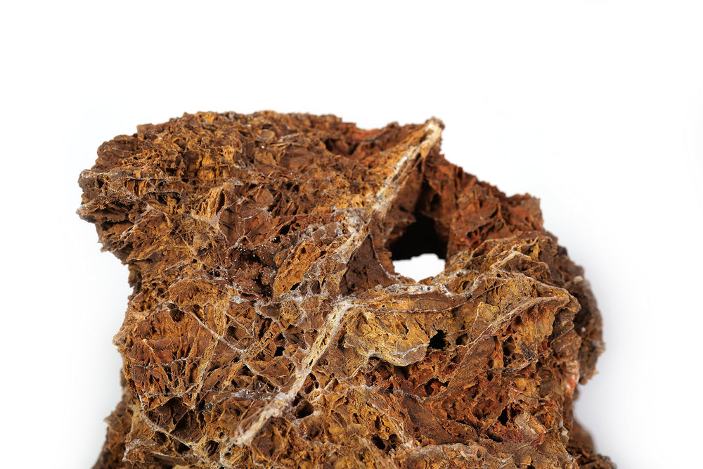LANDEN Maple Leaves Stone terrarium layout for creative hardscape.