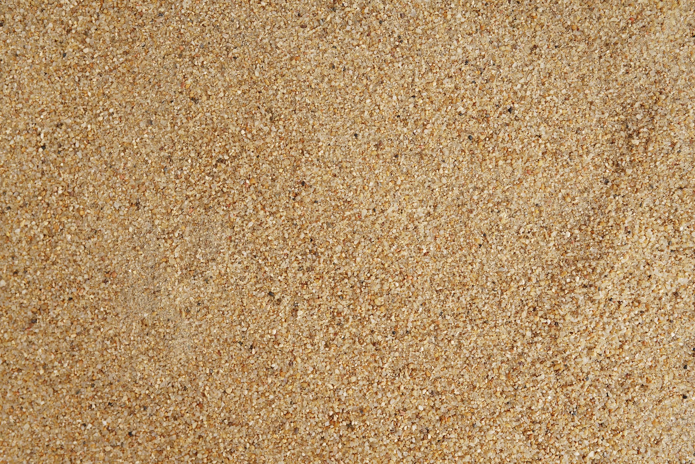 LANDEN Namale sand in blackwater biotope context suitable for subtle coloration.