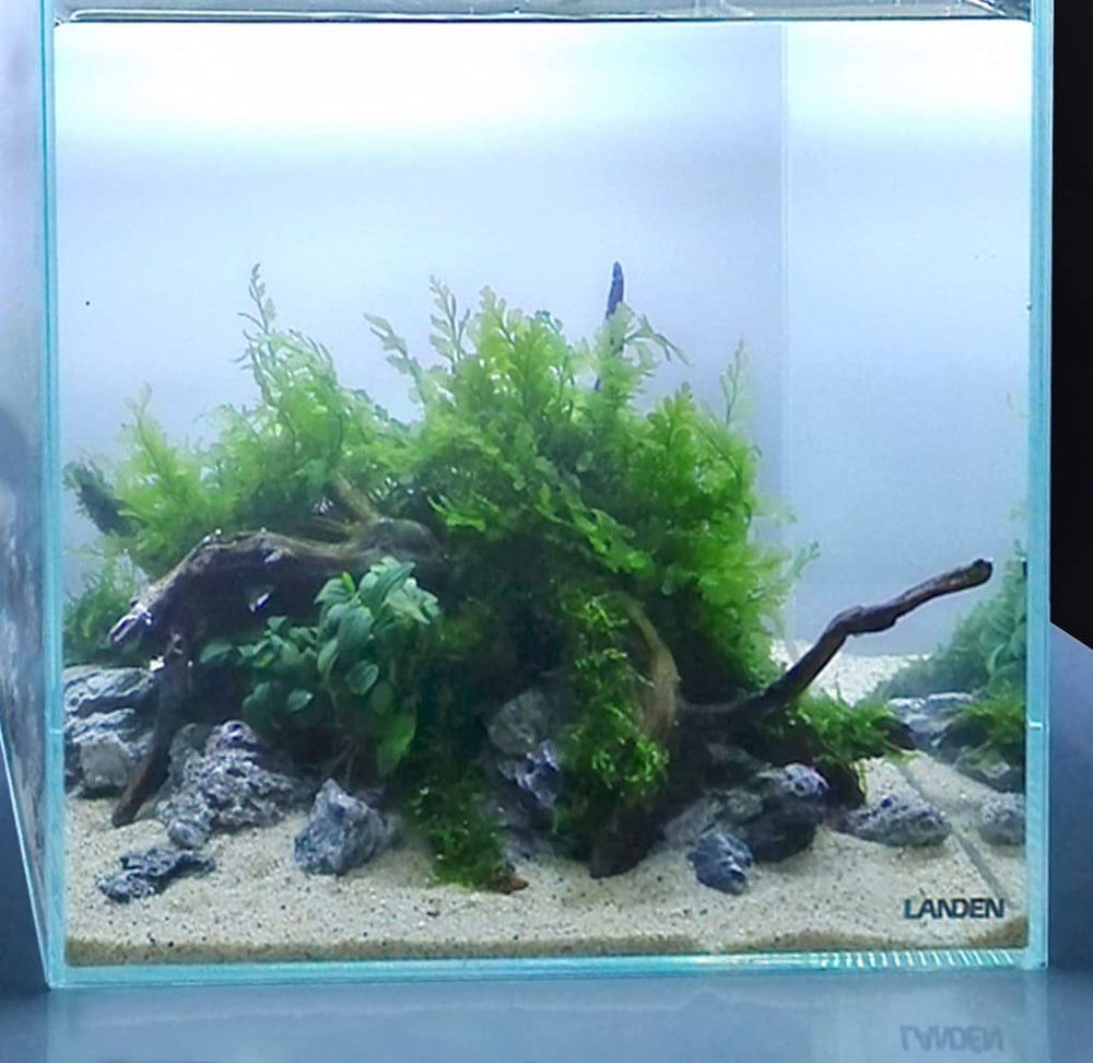 LANDEN Namale sand safe-for-aquatic-life highlights compatibility with diverse freshwater organisms.