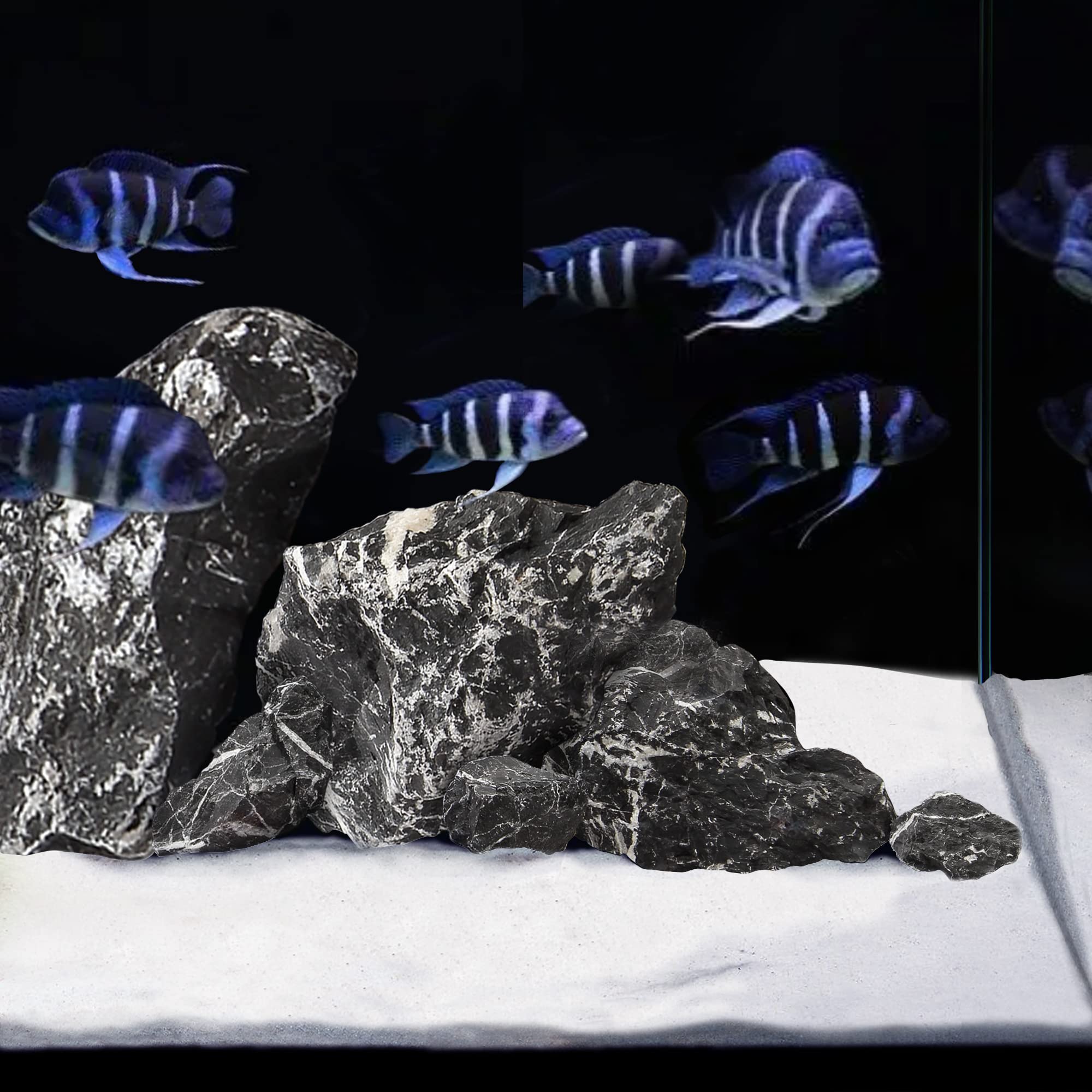 LANDEN NanshaPure sand crushed coral detail supports hard-water species.