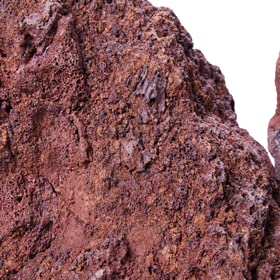 LANDEN Red Lava Stones natural terrarium setup with driftwood and plants.