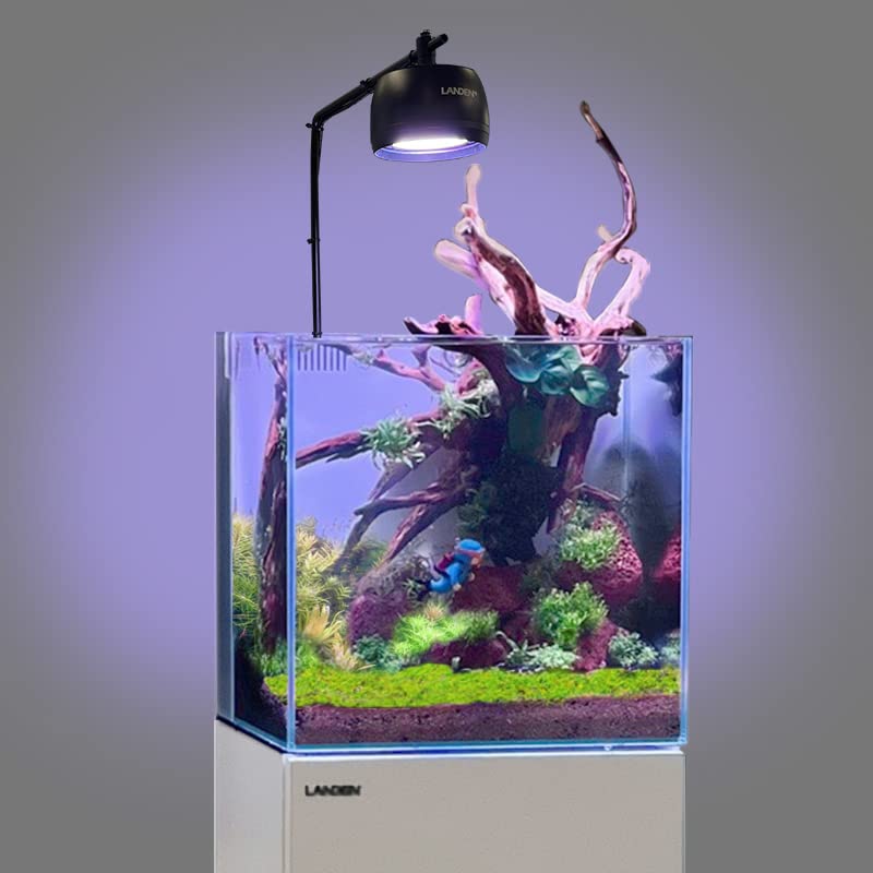 LANDEN Red Lava Stones water-stability shot illustrating mineral-friendly decor for tanks.