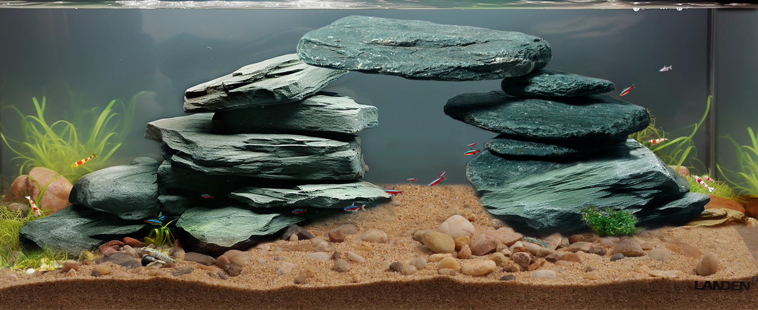 LANDEN River Slate Rocks dark gray hue deepens underwater tones and contrast.