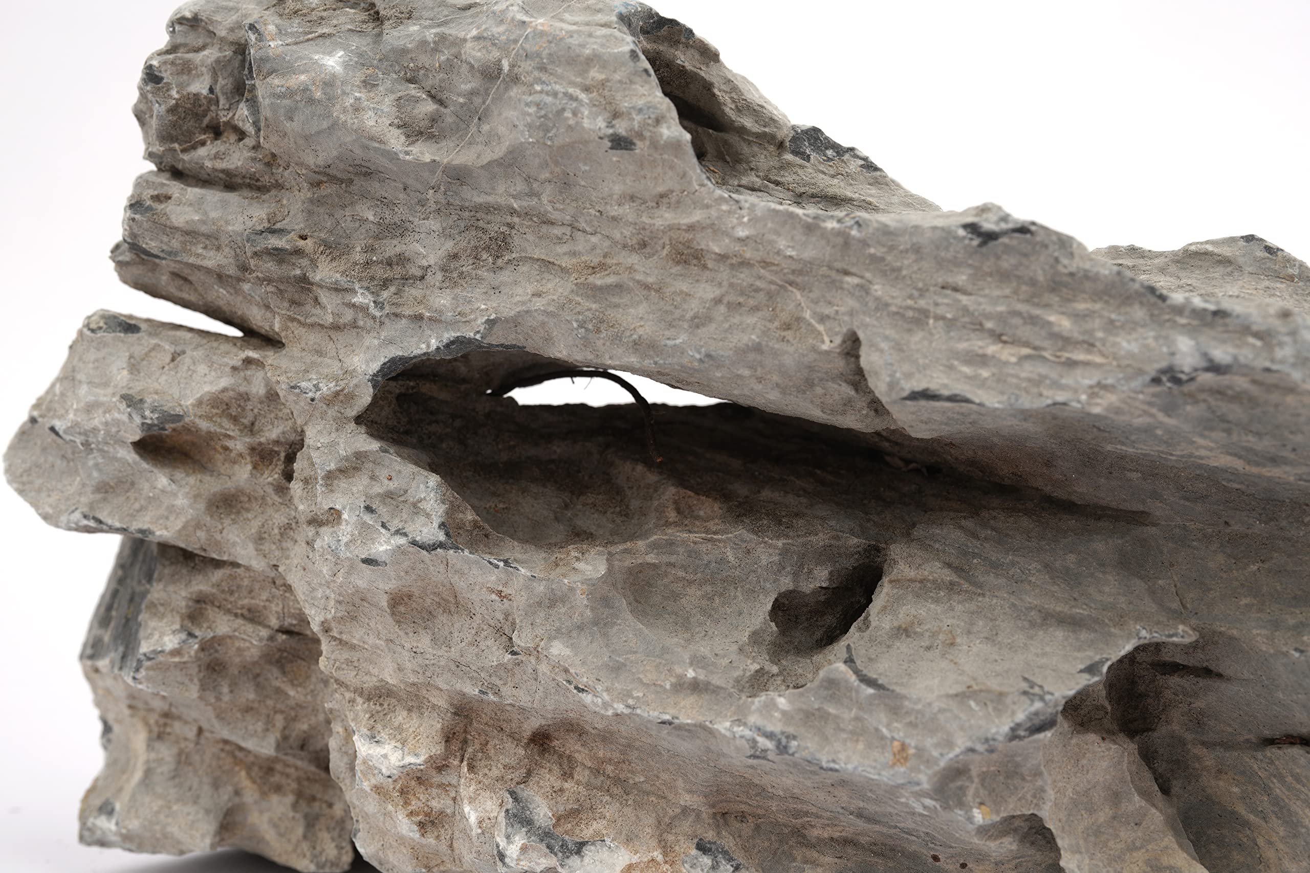 LANDEN Seiryu Stones porous surface nurtures microbe habitats and natural filtration.