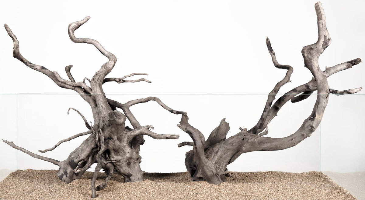 LANDEN Spider Wood driftwood branch in aquarium adds natural texture and shelter.