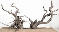 LANDEN Spider Wood driftwood branch in aquarium adds natural texture and shelter.