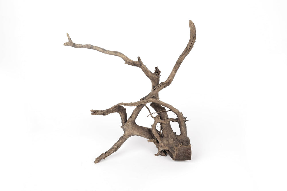 LANDEN Spider Wood root-like branches provide depth for aquascapes.
