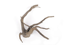 LANDEN Spider Wood twists create dramatic, natural aquarium scenes.