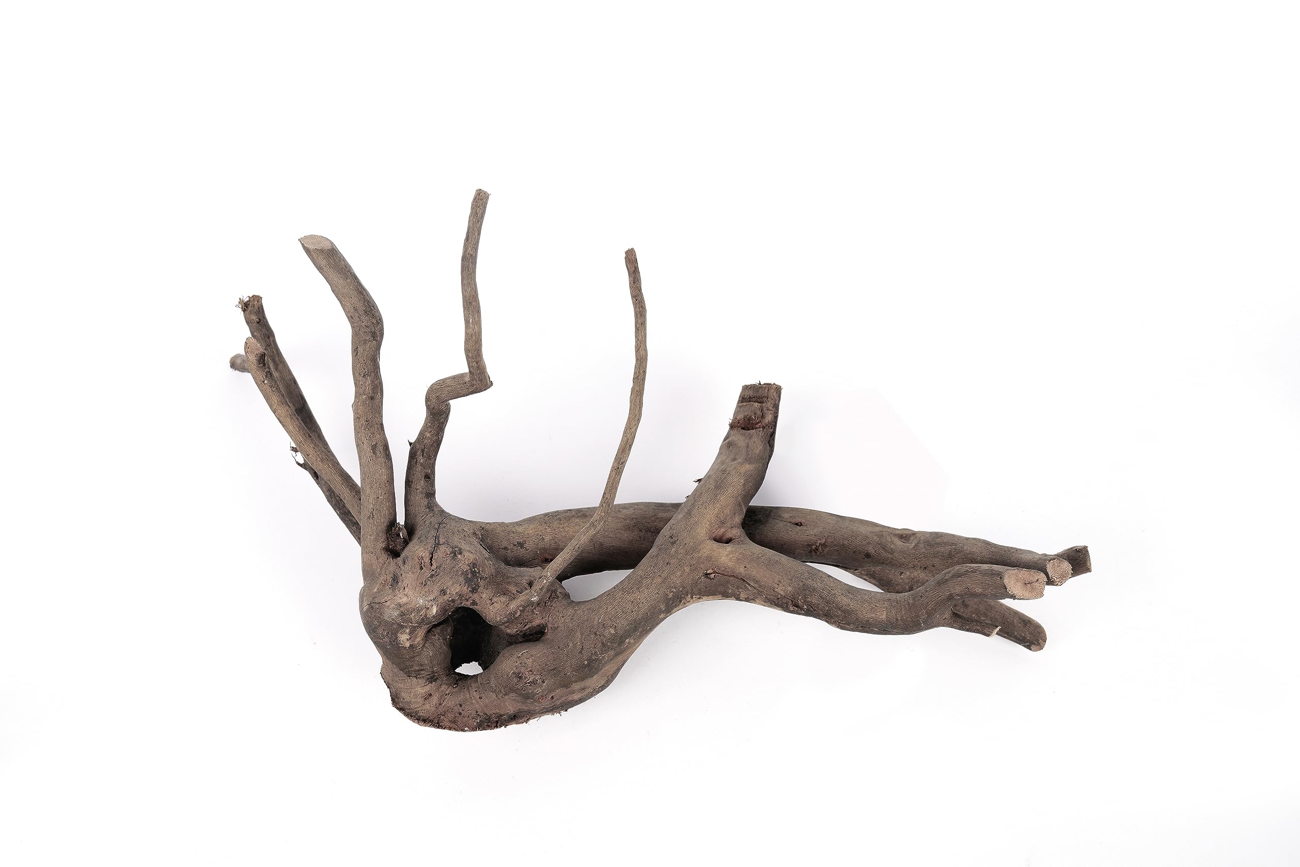 LANDEN Spider Wood driftwood is safe and chemical-free for aquatic use.