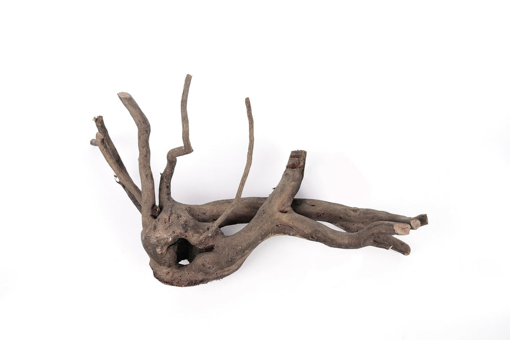 LANDEN Spider Wood driftwood is safe and chemical-free for aquatic use.