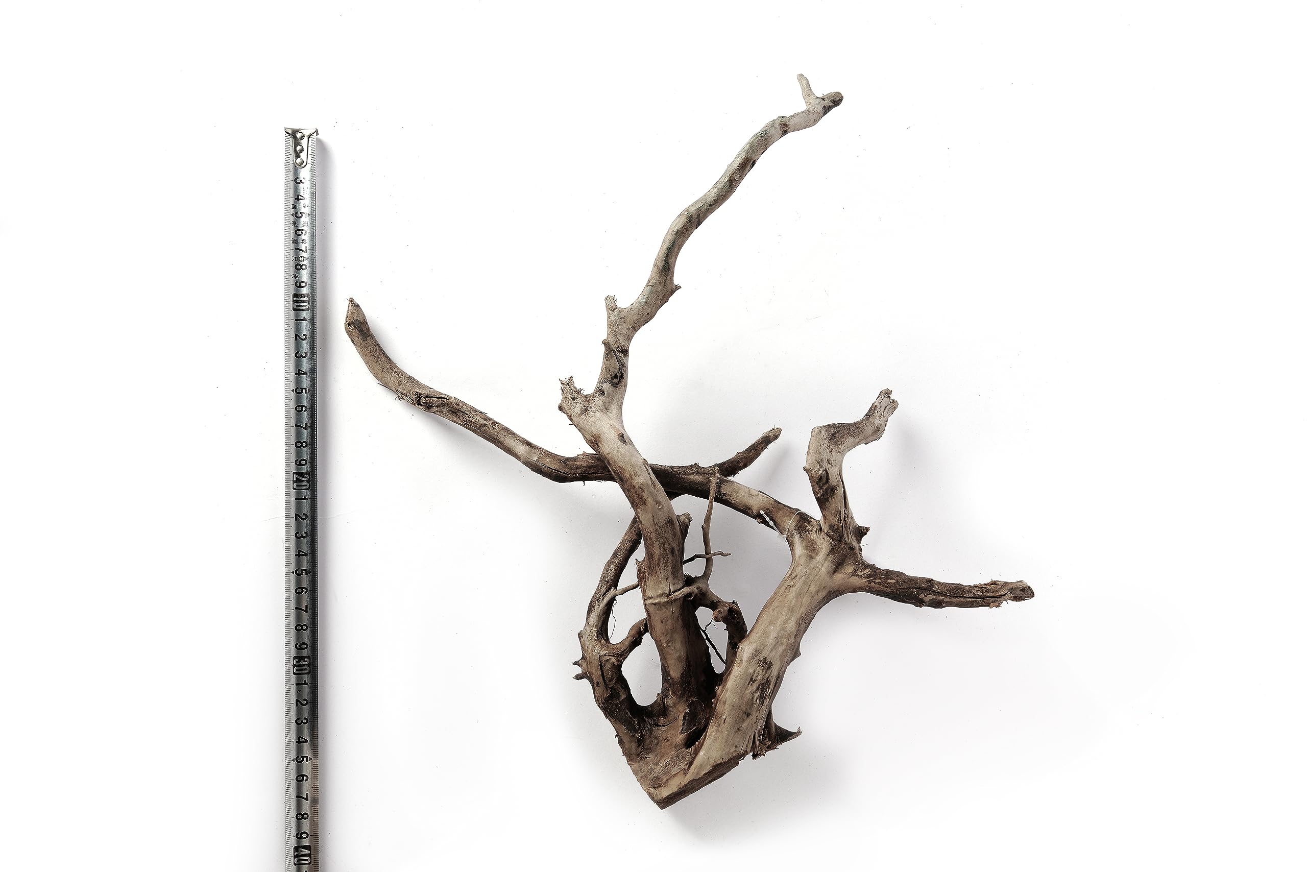 LANDEN Spider Wood 12-16 inch XL pieces offer varied shapes for layouts.