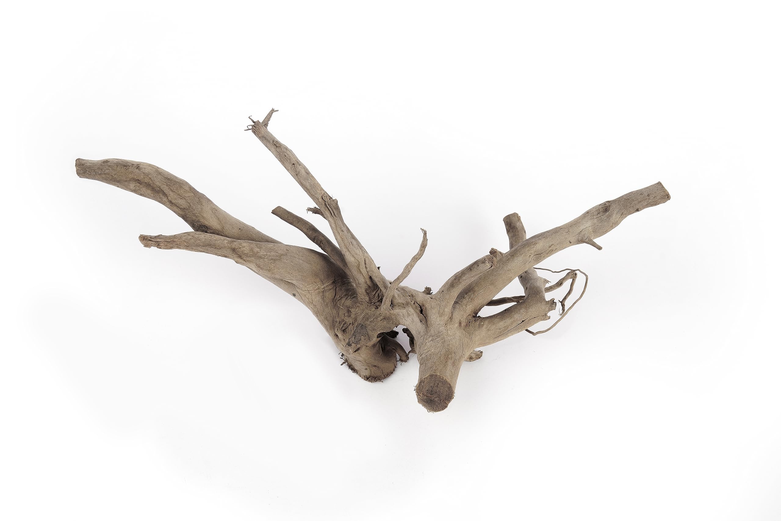LANDEN Spider Wood four-pack ready for creative aquascaping and hides.
