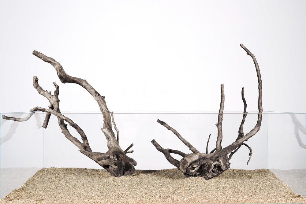 LANDEN Spider Wood decor enhances tank aesthetics with natural hiding spots.