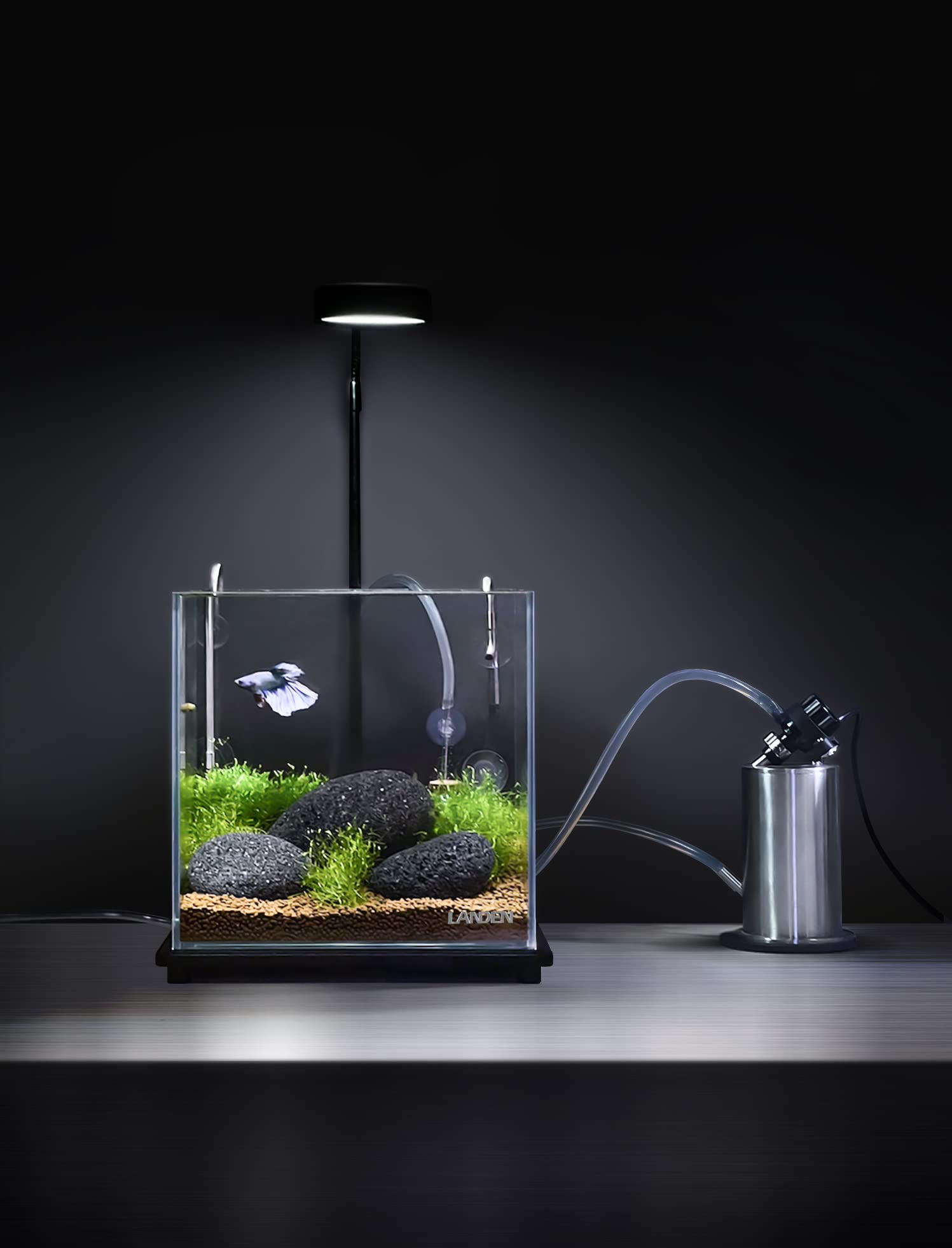 LANDEN Taiji Stone stones darken underwater to enhance contrast