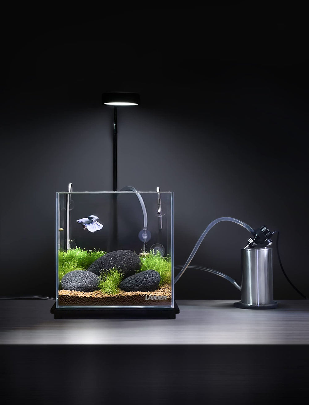LANDEN Taiji Stone stones darken underwater to enhance contrast