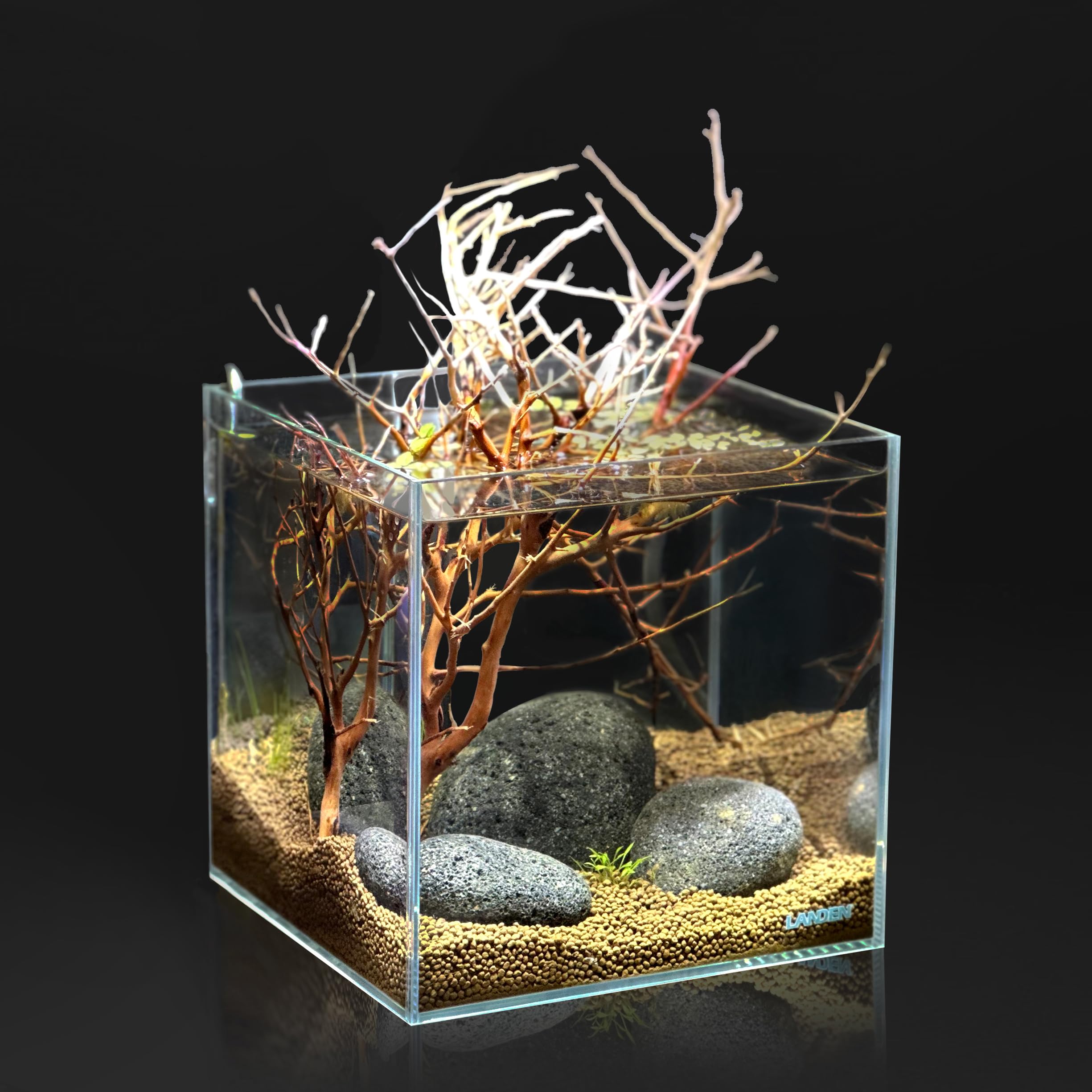 LANDEN Taiji Stone riverbed substrate arrangement for planted tanks