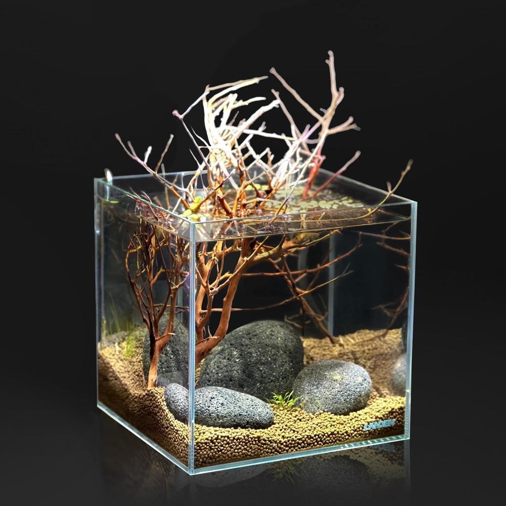LANDEN Taiji Stone riverbed substrate arrangement for planted tanks