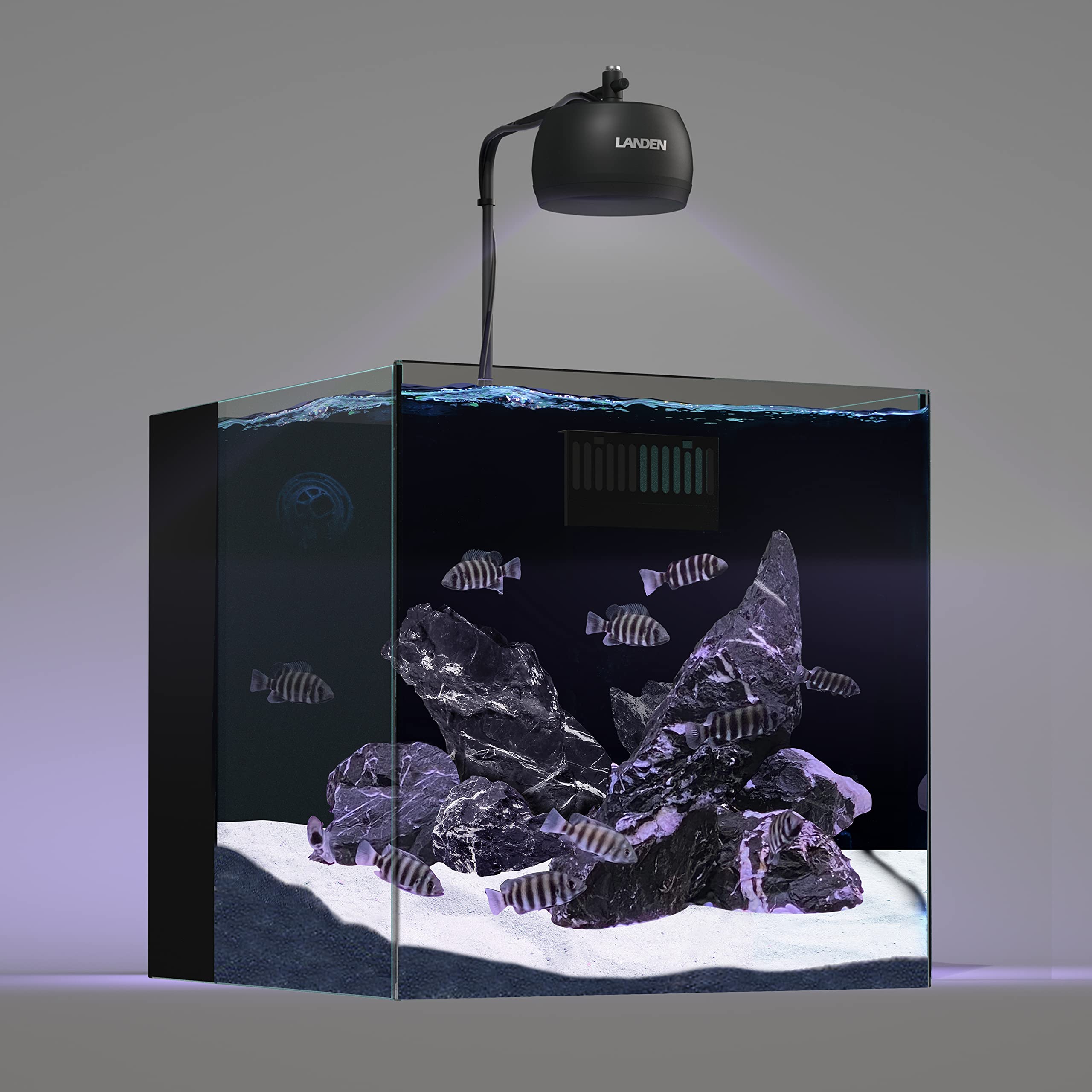 LANDEN Tonwa stones amphibian enclosure setup offers heat-retaining habitat features