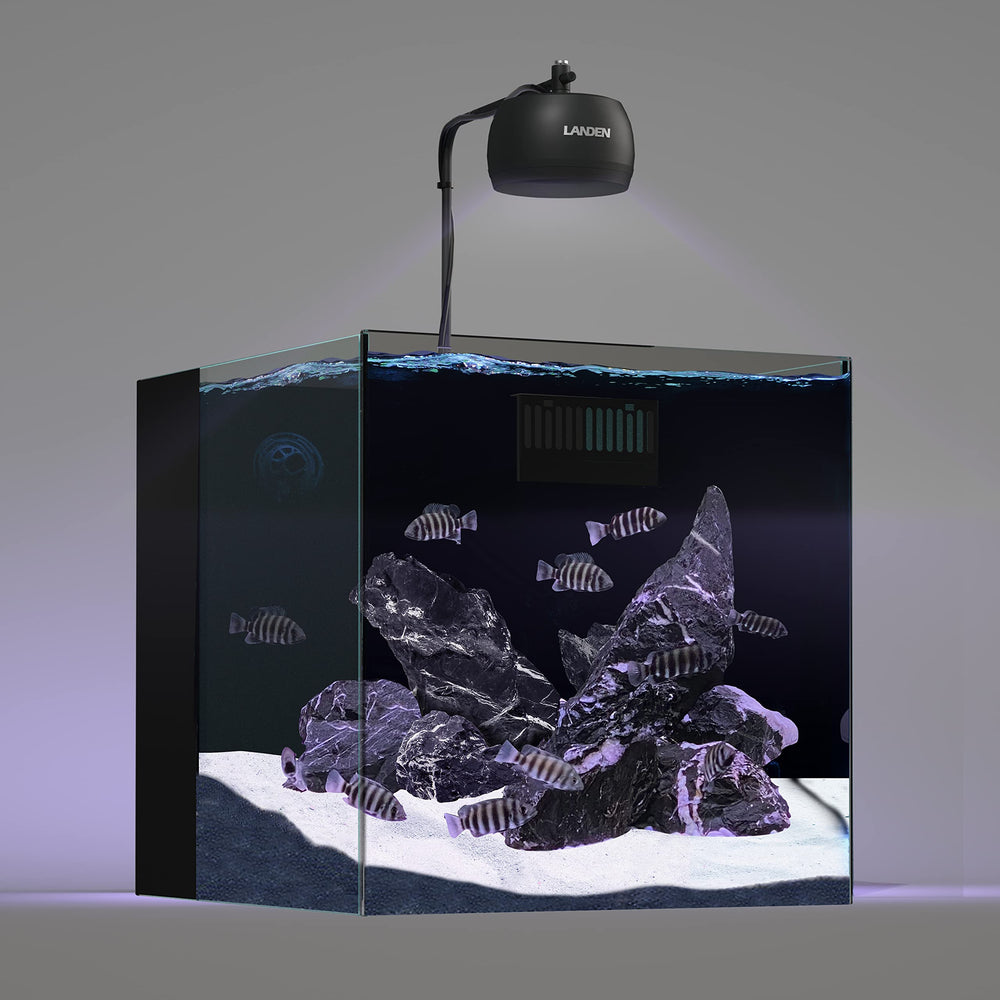 LANDEN Tonwa stones amphibian enclosure setup offers heat-retaining habitat features