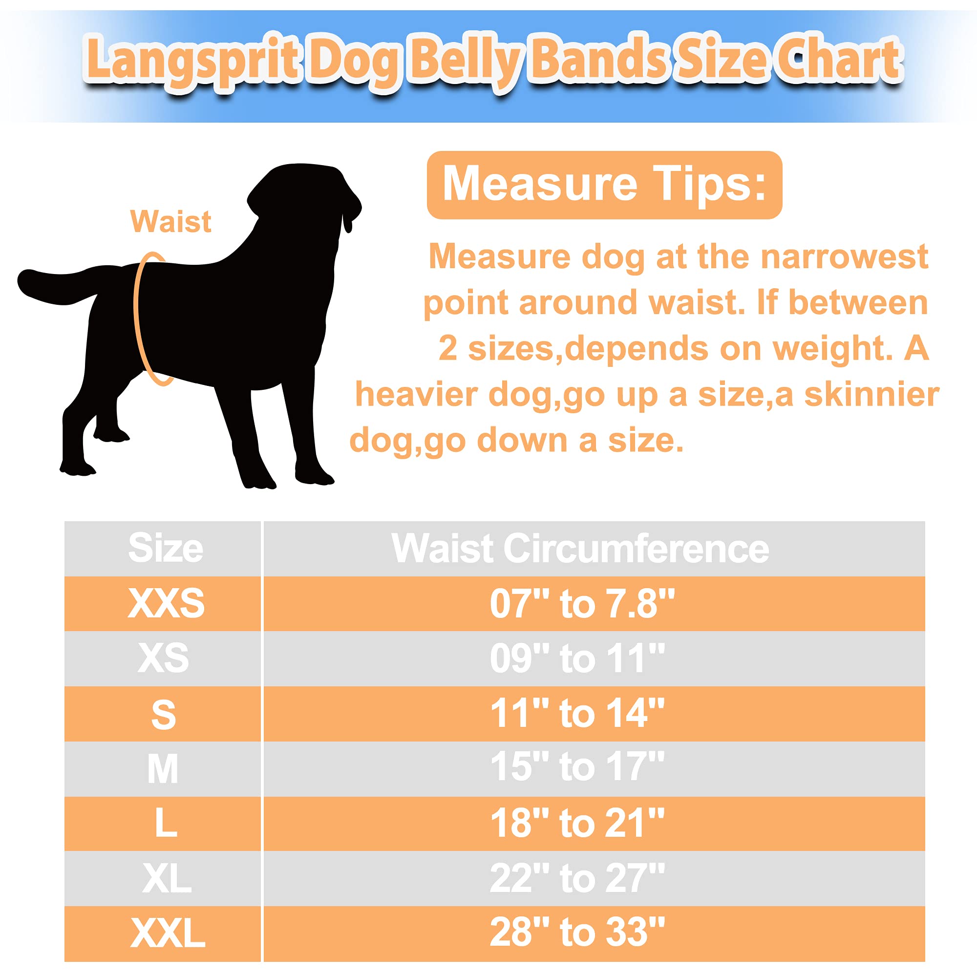 Langsprit belly band with whale pattern close-up highlights absorbent core for mess-free rooms