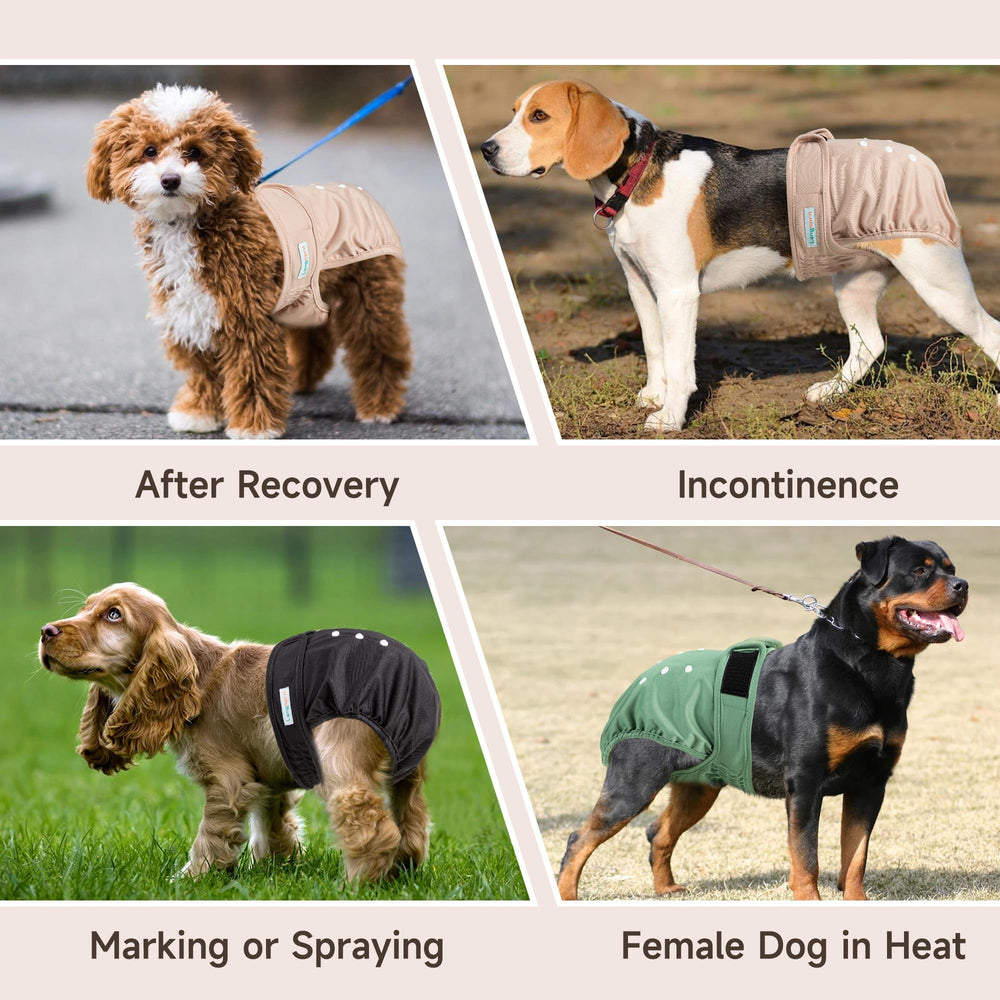Langsprit lightweight washable diaper in use on a pet during travel.