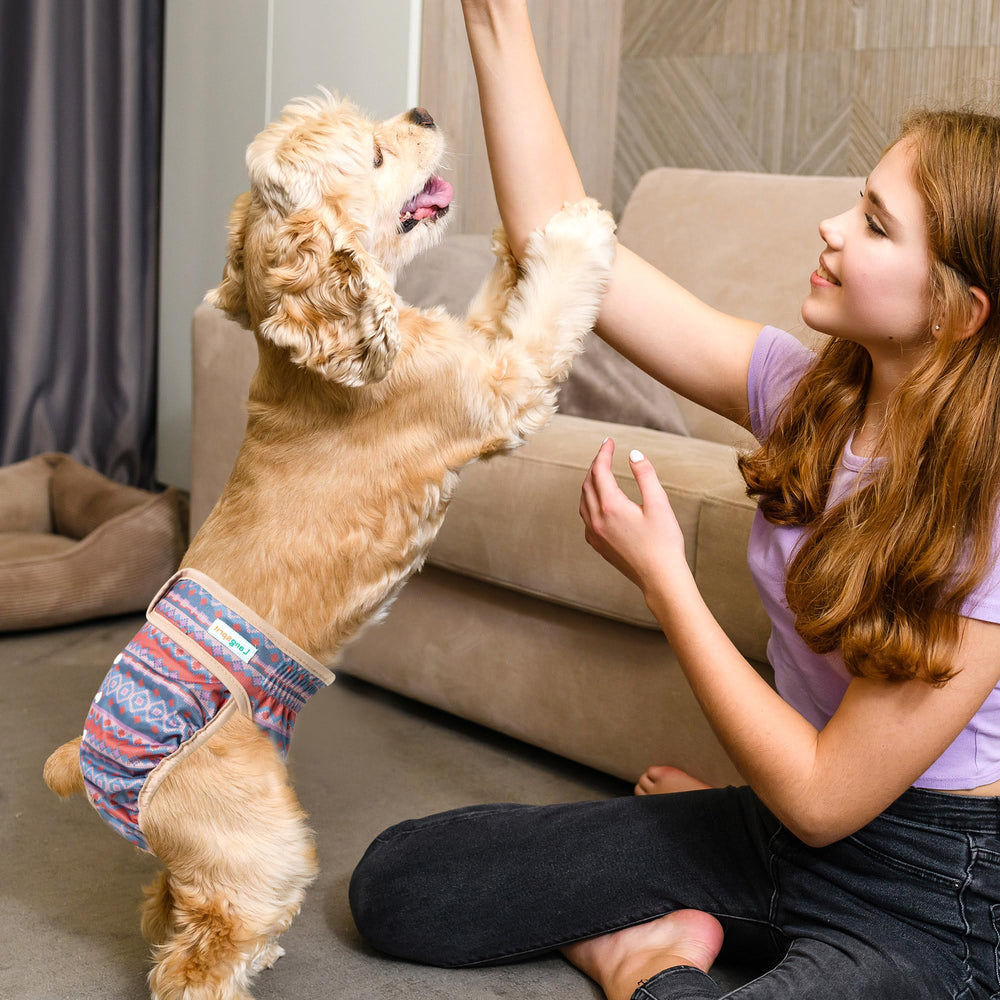 Langsprit dog diapers machine-wash care for easy reuse and durability.