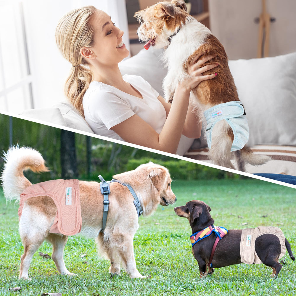 Langsprit diaper on a dog shows adjustable fit and comfortable tail-hole design.