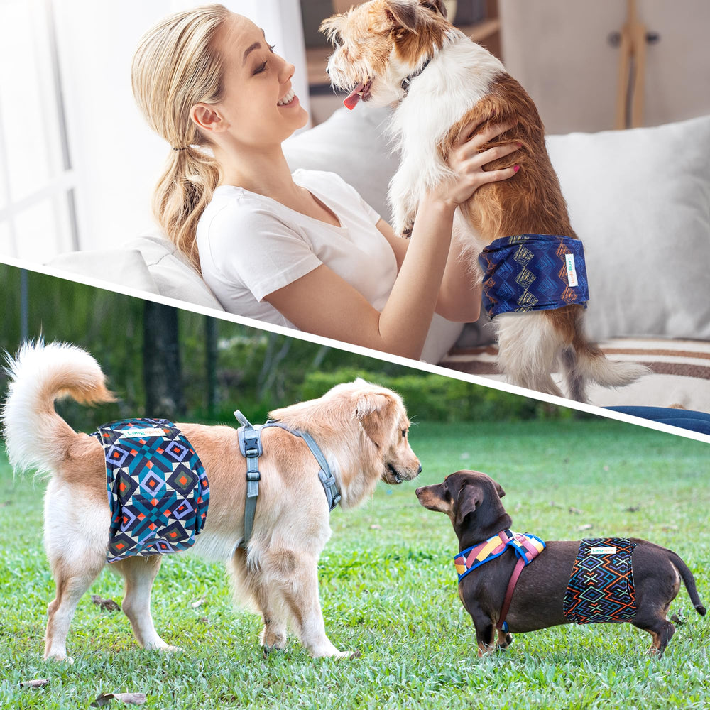 Langsprit panales reutilizables para perros pequeños, útiles para entrenamiento