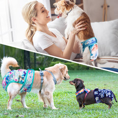 Langsprit soft inner lining shows gentle touch suitable for playful or resting dogs