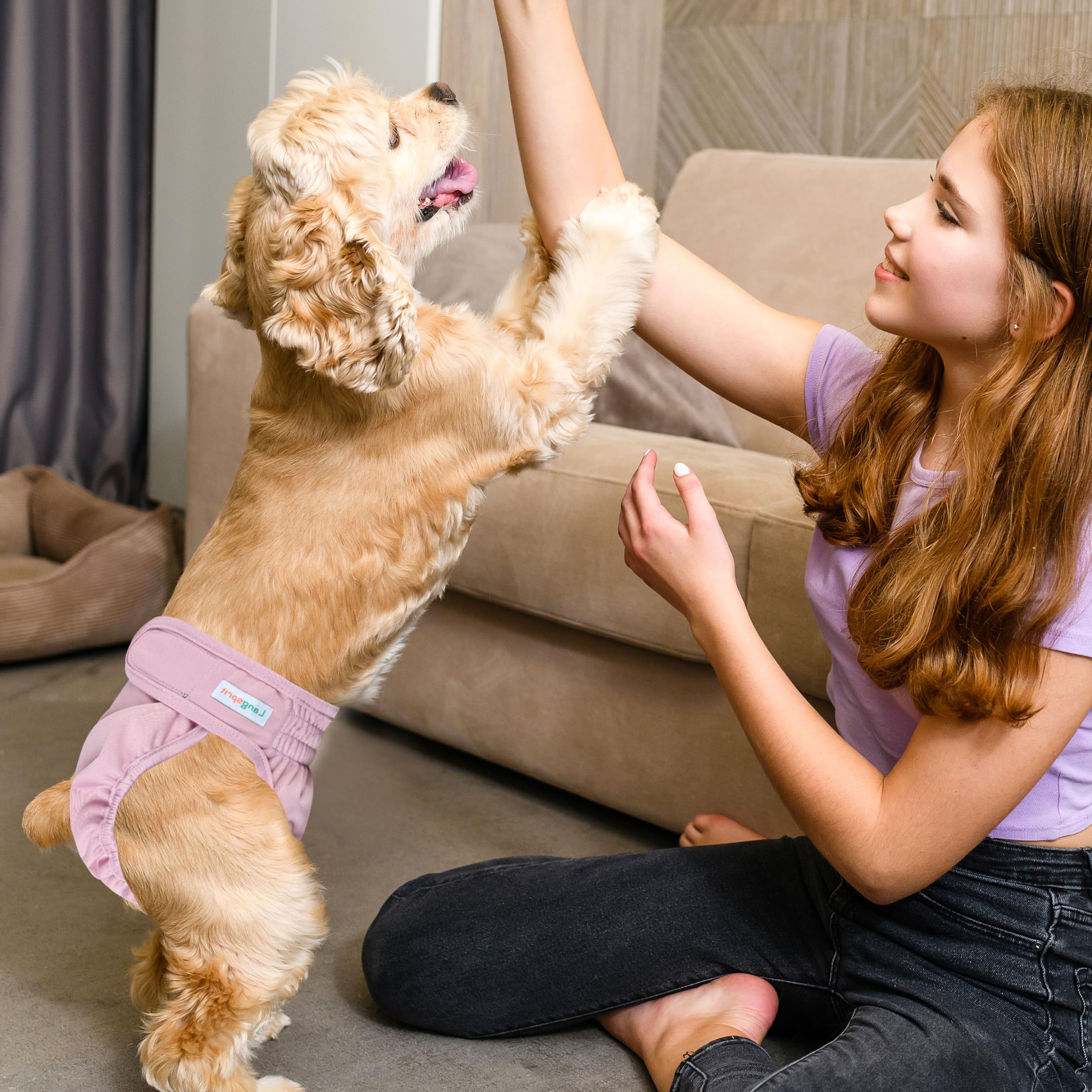 Langsprit dog diapers worn by a dog at home demonstrates comfortable daily wear.