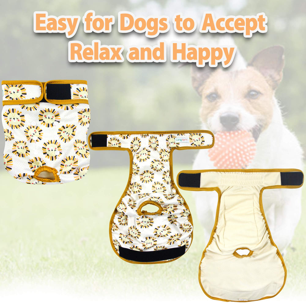 Langsprit 3-pack includes sizes to fit various dogs securely.