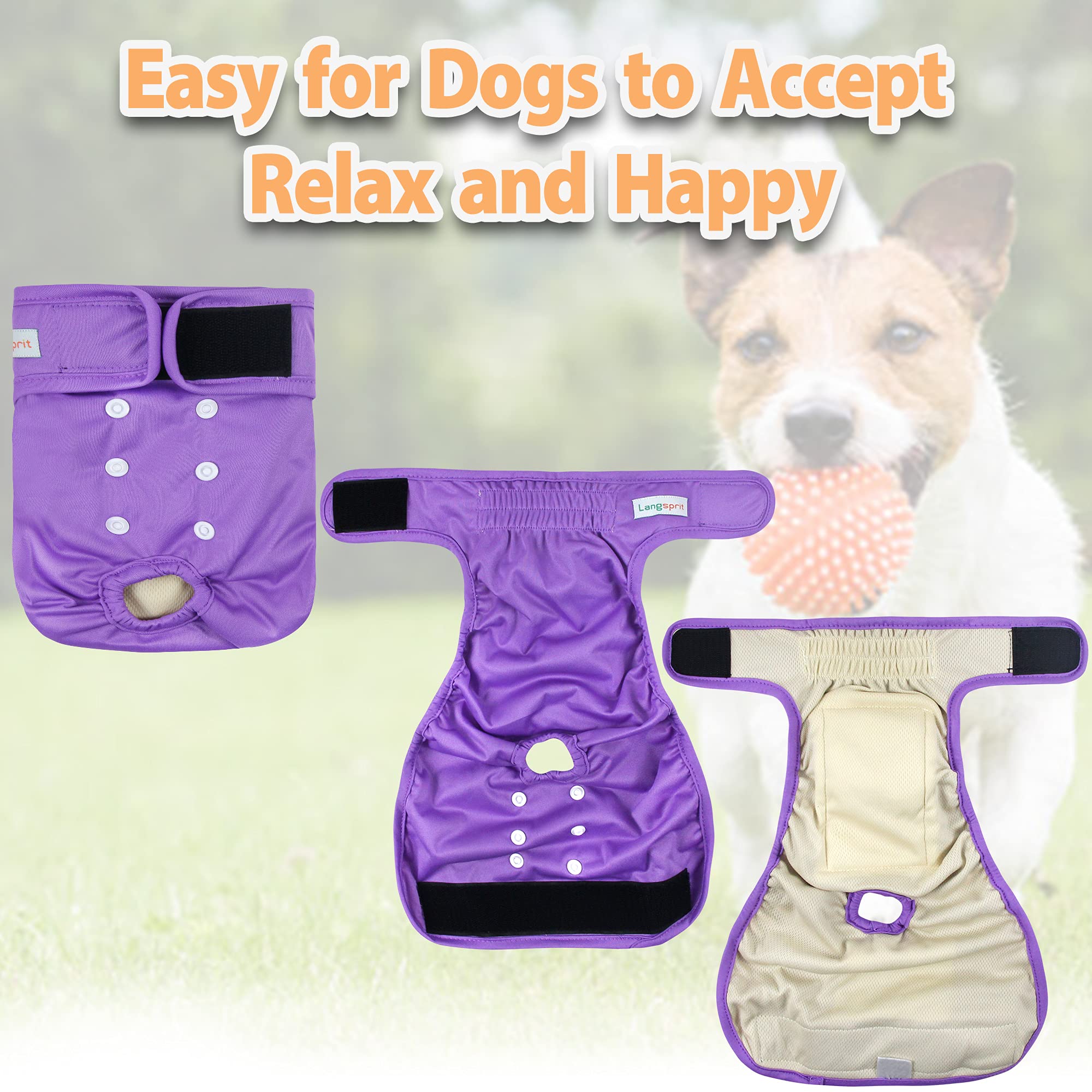 Langsprit color designs display three-pack options in black pink purple