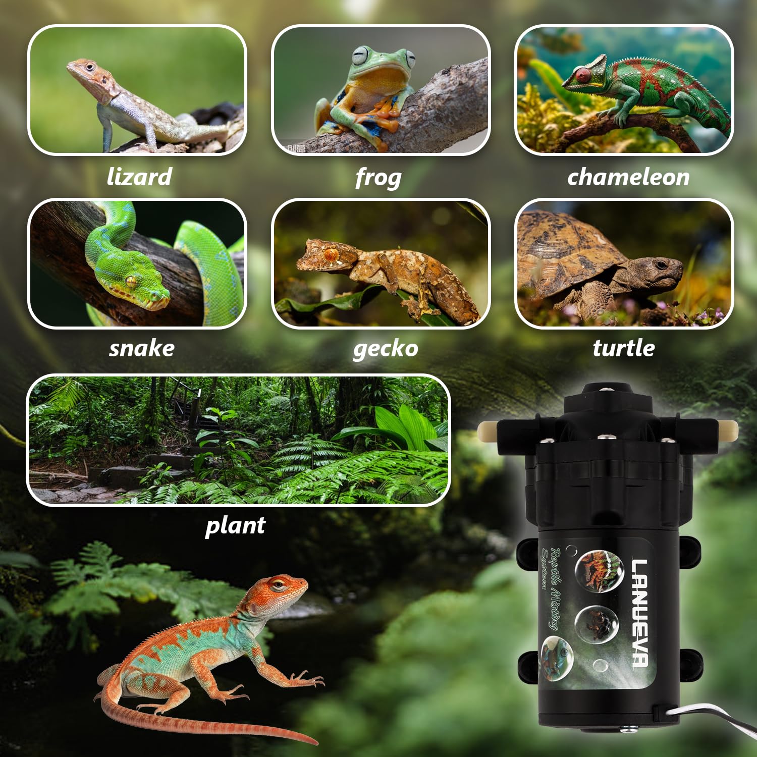 LANUEVA reptile humidifier in a terrarium setup ready for steady humidity