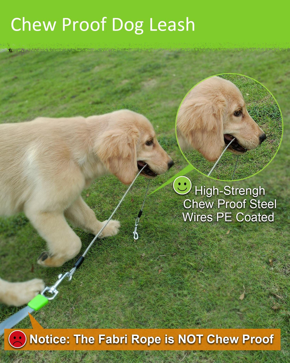 Lanwandeng chew-proof-wire-rope leash close-up highlighting durability