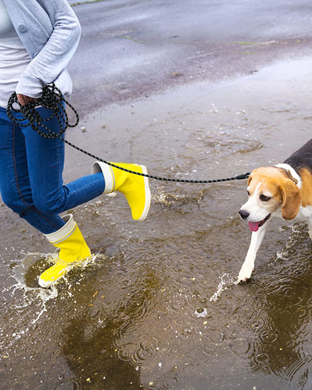 Lanwandeng dog leash outdoor-ready setup for hiking and camping activities