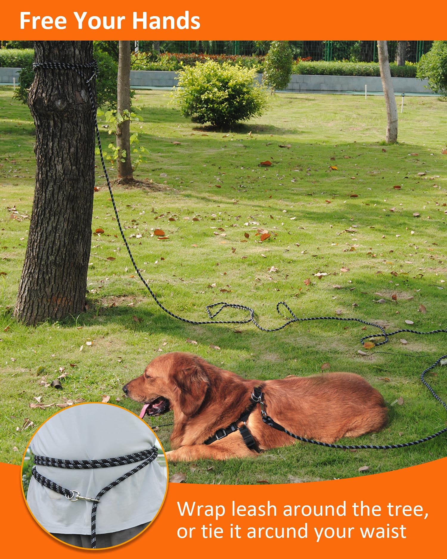 Lanwandeng dog leash reflective stitching boosts night visibility