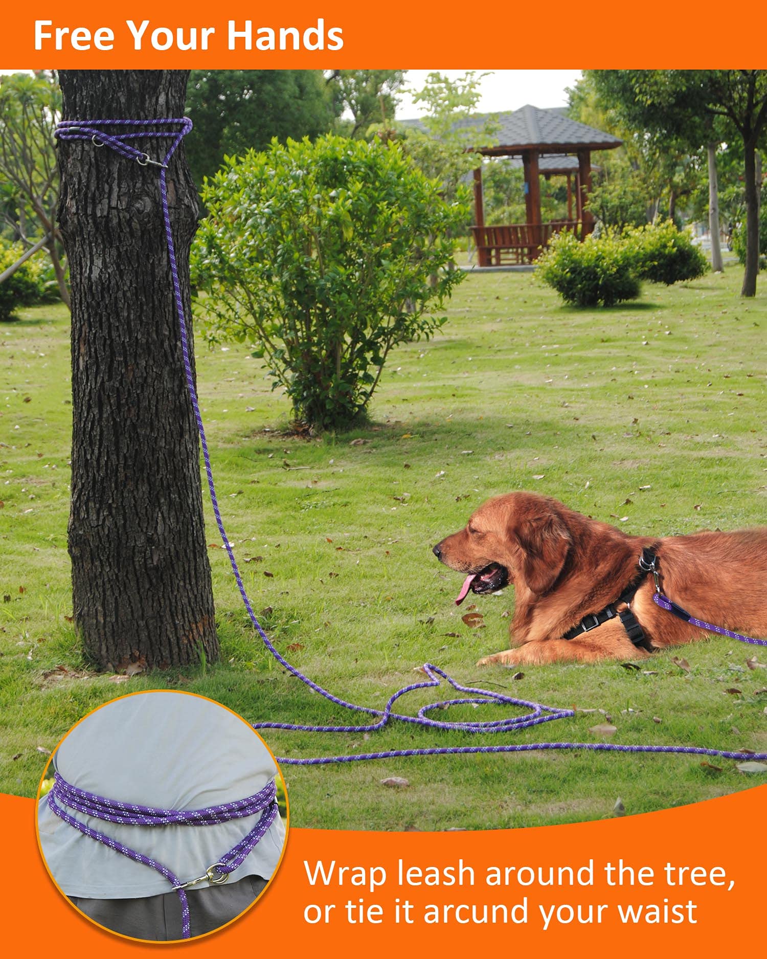 Lanwandeng dog leash available in 10 to 100 feet lengths for training