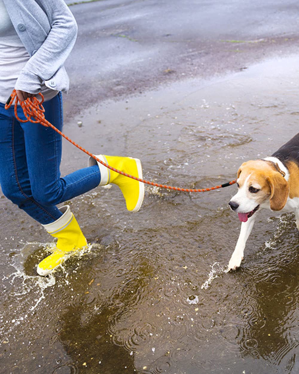 Lanwandeng 2-pack leash set for versatile multi-dog use