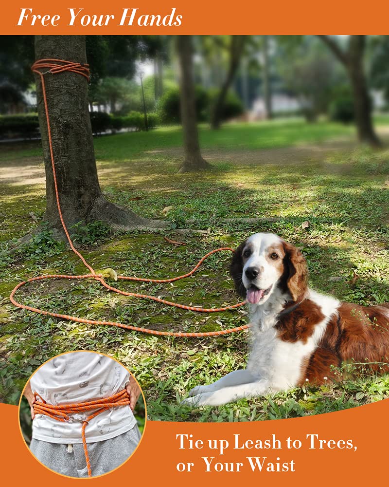 Lanwandeng durable nylon rope leash built to withstand outdoor training